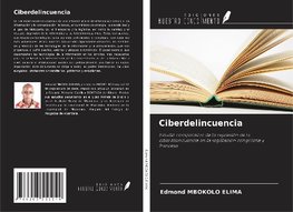 Ciberdelincuencia