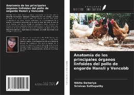 Anatomía de los principales órganos linfoides del pollo de engorde Hansli y Vencobb