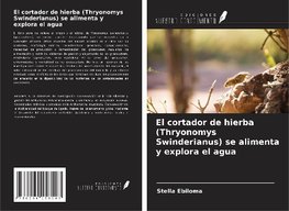 El cortador de hierba (Thryonomys Swinderianus) se alimenta y explora el agua