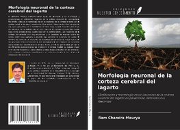 Morfología neuronal de la corteza cerebral del lagarto