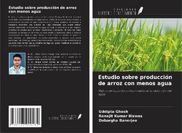 Estudio sobre producción de arroz con menos agua