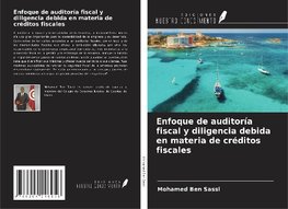 Enfoque de auditoría fiscal y diligencia debida en materia de créditos fiscales