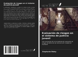 Evaluación de riesgos en el sistema de justicia juvenil