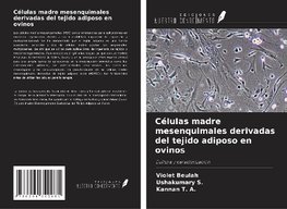 Células madre mesenquimales derivadas del tejido adiposo en ovinos