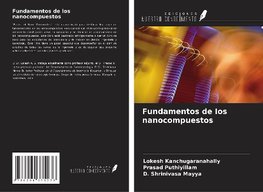 Fundamentos de los nanocompuestos