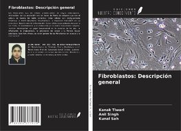 Fibroblastos: Descripción general