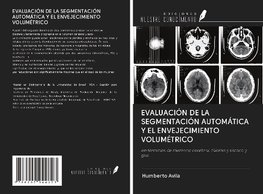 EVALUACIÓN DE LA SEGMENTACIÓN AUTOMÁTICA Y EL ENVEJECIMIENTO VOLUMÉTRICO