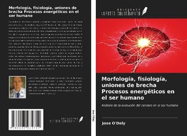 Morfología, fisiología, uniones de brecha Procesos energéticos en el ser humano