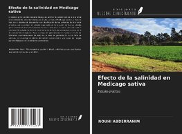 Efecto de la salinidad en Medicago sativa