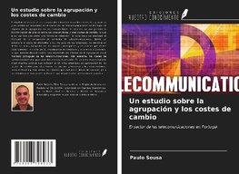 Un estudio sobre la agrupación y los costes de cambio