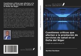 Cuestiones críticas que afectan a la prestación de servicios de salud en el Delta del Níger