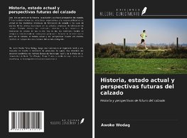 Historia, estado actual y perspectivas futuras del calzado