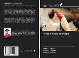 Pollos exóticos en Etiopía