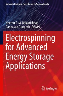 Electrospinning for Advanced Energy Storage Applications