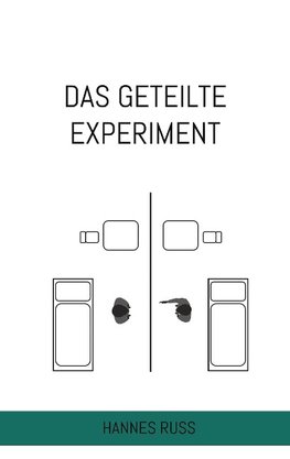 Das geteilte Experiment