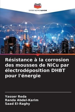 Résistance à la corrosion des mousses de NiCu par électrodéposition DHBT pour l'énergie