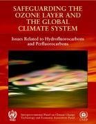 Change, I: Safeguarding the Ozone Layer and the Global Clima