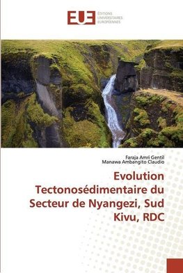 Evolution Tectonosédimentaire du Secteur de Nyangezi, Sud Kivu, RDC