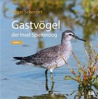 Gastvögel der Insel Spiekeroog 02