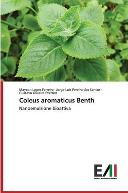 Coleus aromaticus Benth