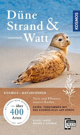 Düne, Strand und Watt