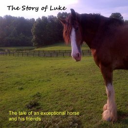 The Story of Luke