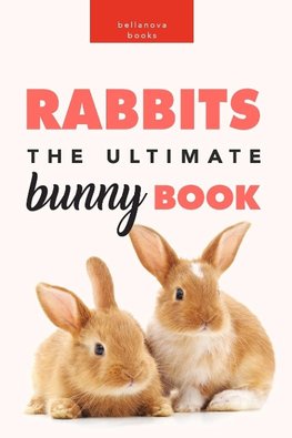 Rabbits