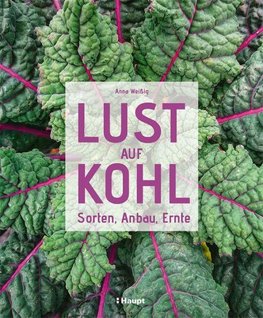 Lust auf Kohl