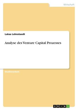 Analyse des Venture Capital Prozesses