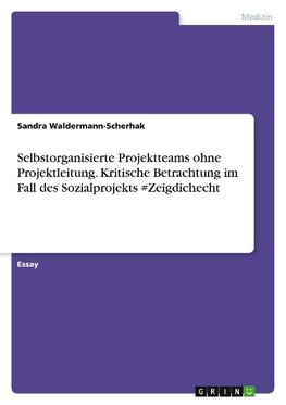 Selbstorganisierte Projektteams ohne Projektleitung. Kritische Betrachtung im Fall des Sozialprojekts #Zeigdichecht