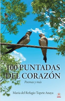 100 puntadas del corazón