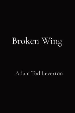 Broken Wing