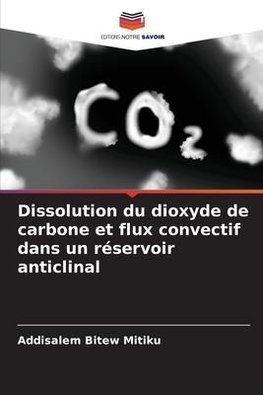 Dissolution du dioxyde de carbone et flux convectif dans un réservoir anticlinal