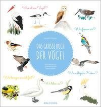 Das große Buch der Vögel