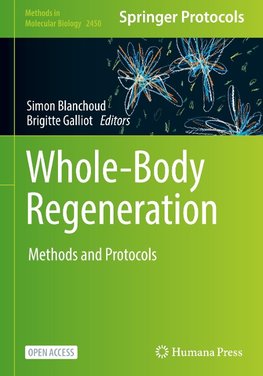 Whole-Body Regeneration