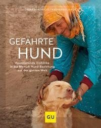 Gefährte Hund