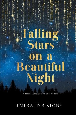 Falling Stars on a Beautiful Night