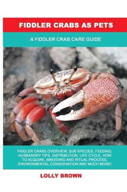 Fiddler Crabs as Pets