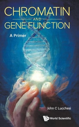 Chromatin and Gene Function