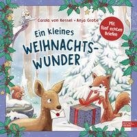 Ein kleines Weihnachtswunder