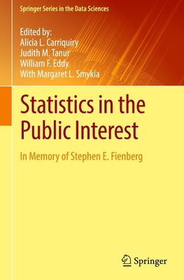 Statistics in the Public Interest