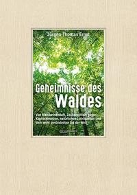 Geheimnisse des Waldes