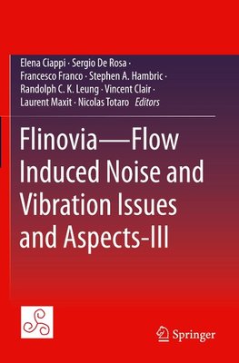 Flinovia-Flow Induced Noise and Vibration Issues and Aspects-III