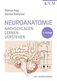 Neuroanatomie