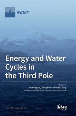 Energy and Water Cycles in the Third Pole