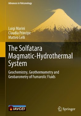 The Solfatara Magmatic-Hydrothermal System