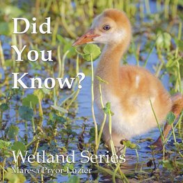 Did You Know? Wetland Series