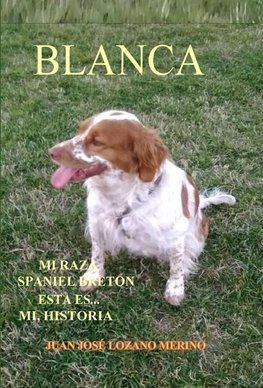 BLANCA  ... Mi raza Spaniel Breton, esta es mi Historia