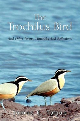 The Trochilus Bird