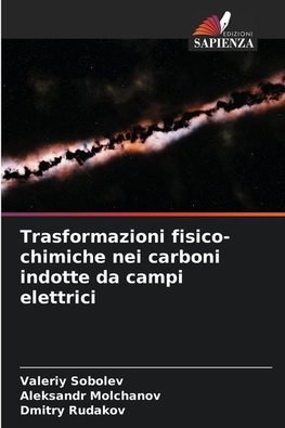 Trasformazioni fisico-chimiche nei carboni indotte da campi elettrici